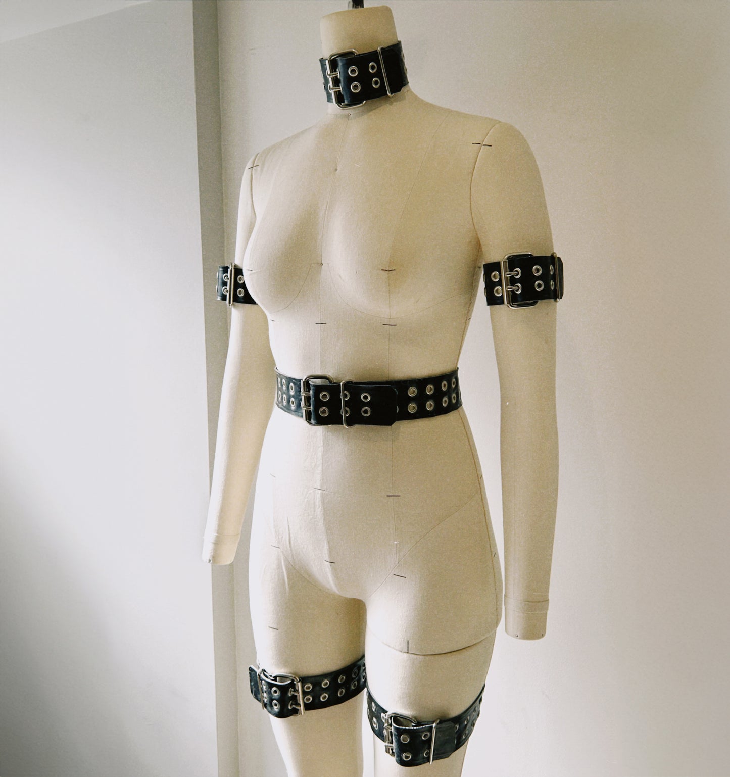 Double Prong Buckle Strap Set