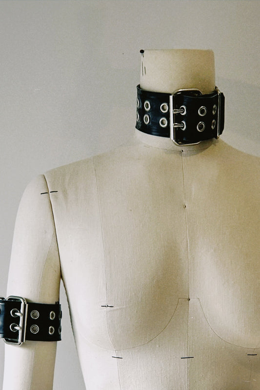 Double Prong Buckle Collar