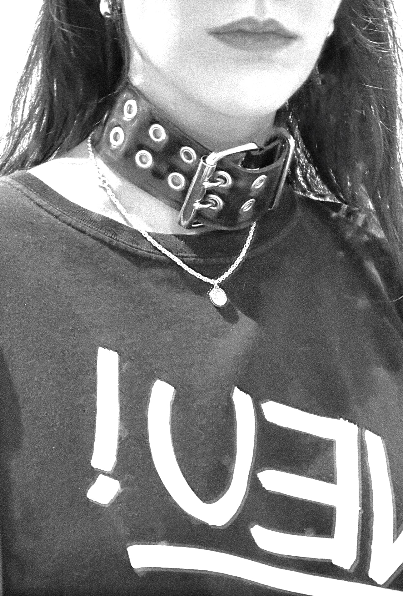 Double Prong Buckle Collar